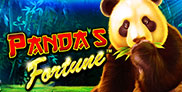 Panda Fortune